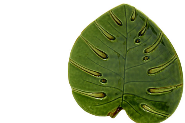 Folha Decorativa de Cerâmica Costela de Adão, um lindo item decorativo da linha Leaf da Lyor, feito em cerâmica essa peça lembra uma grande folha