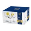 Taça Gin Tônica Anna